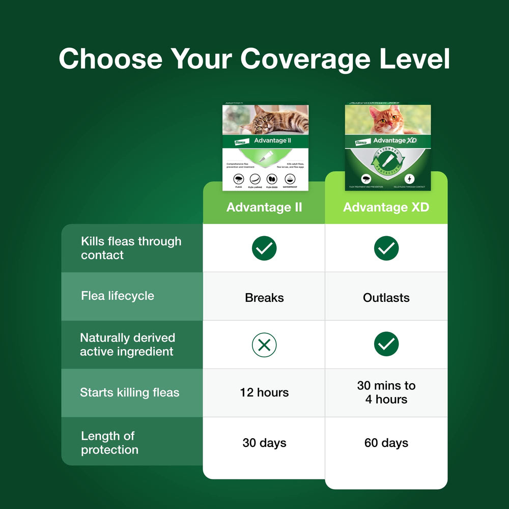 Advantage II Small Cat 30-day-protection provides ongoing flea control month after month.