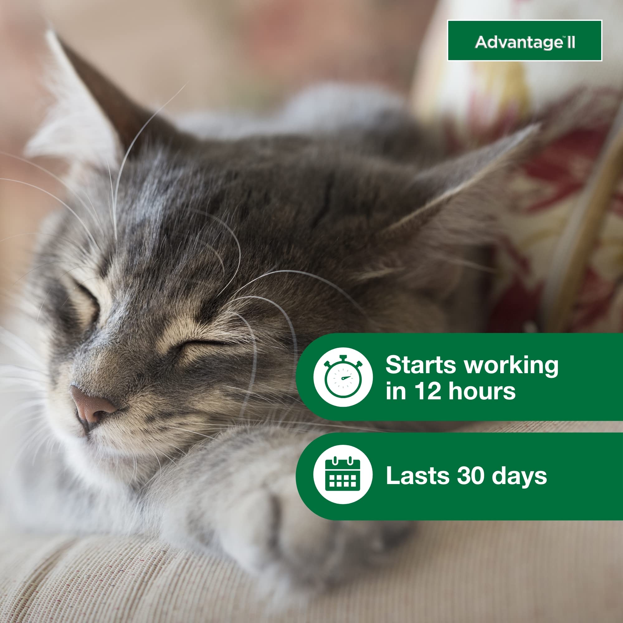 Advantage II Small Cat fragrance-free formula image indicates gentle care for sensitive skin.