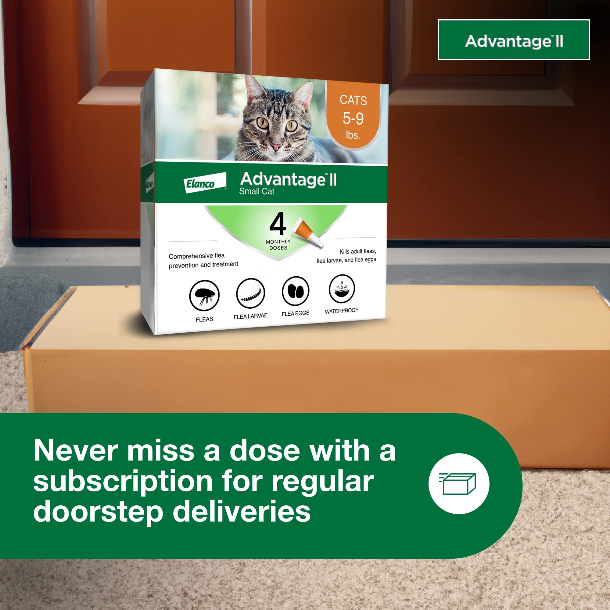 Advantage II Small Cat indoor-outdoor-use image demonstrates versatile cat protection.