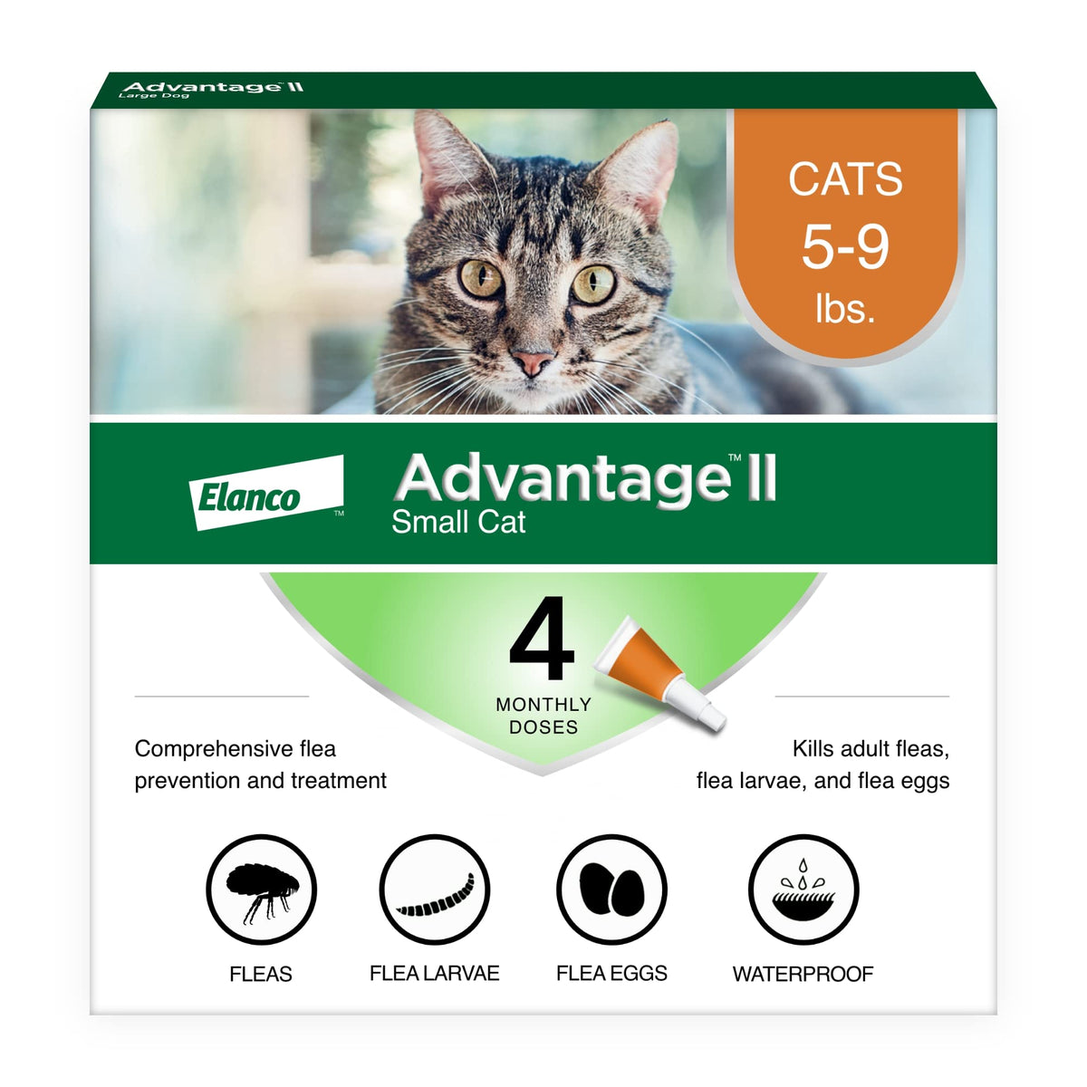 Advantage II Small Cat tube-application demonstrates easy spot-on flea protection for monthly use.