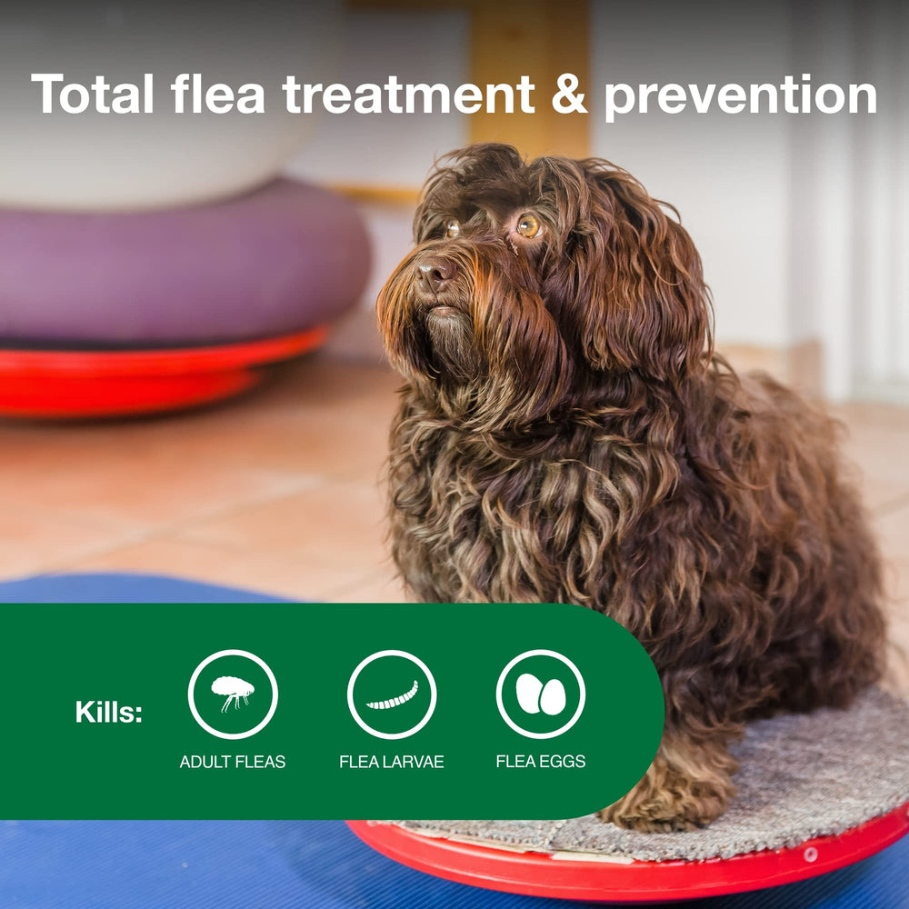Advantage II Small Dog label closeup presents 30-day protection
