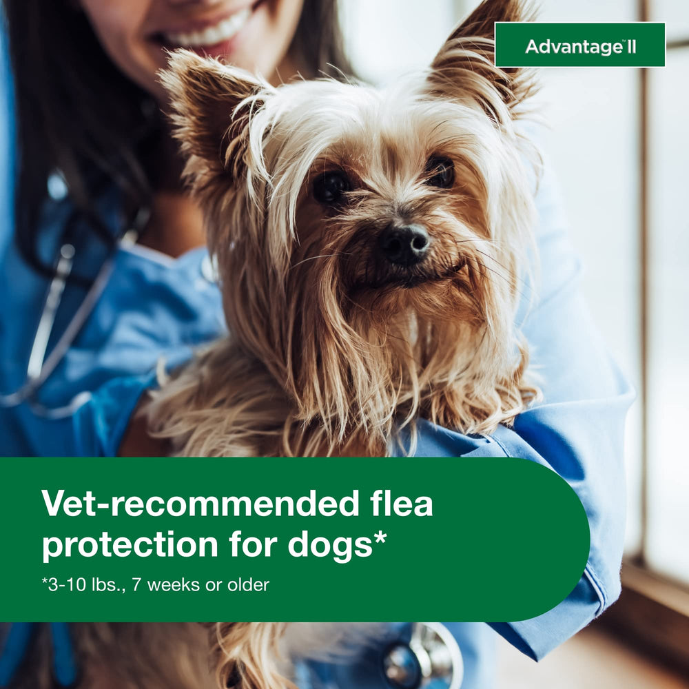 Advantage II Small Dog waterproof icon communicates 24-hour water resistance