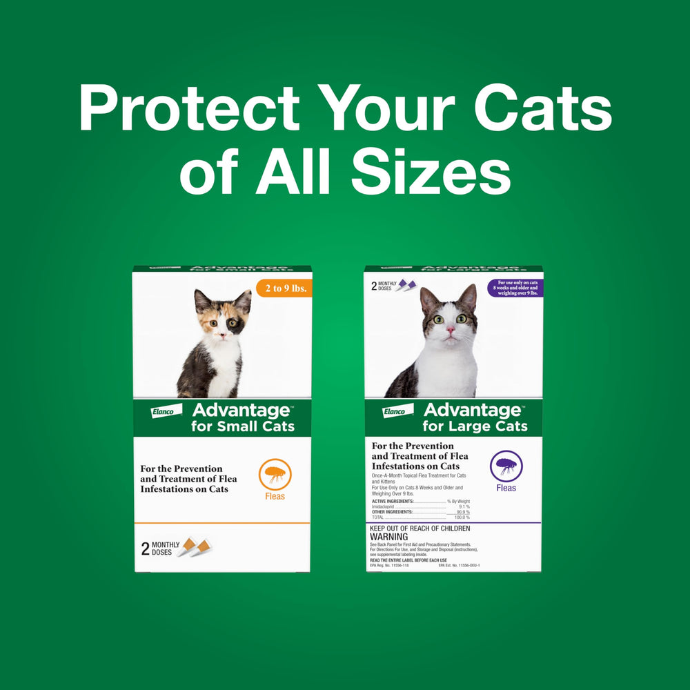 Advantage large-cat eligibility banner notes cats over 9 lbs can use this treatment.
