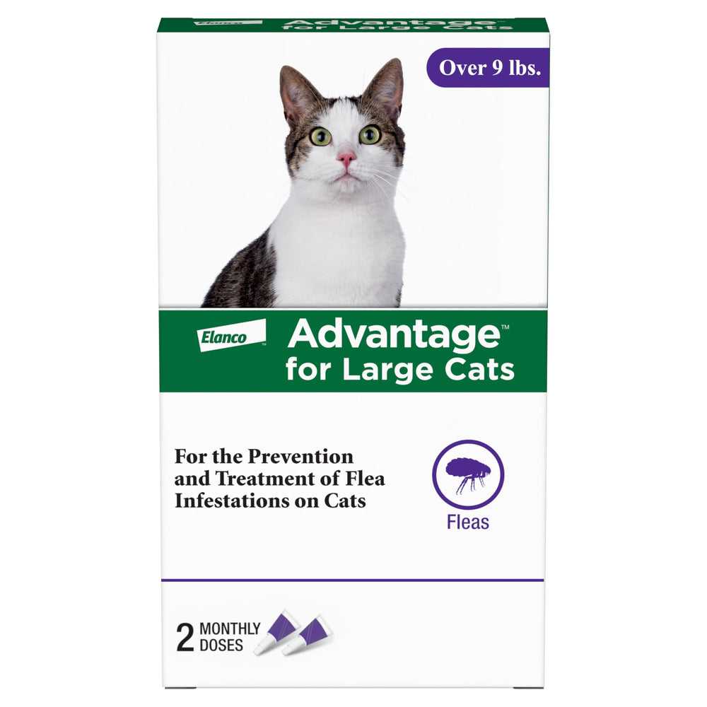 Advantage large cats flea-treatment bottle demonstrates convenient monthly protection against fleas.