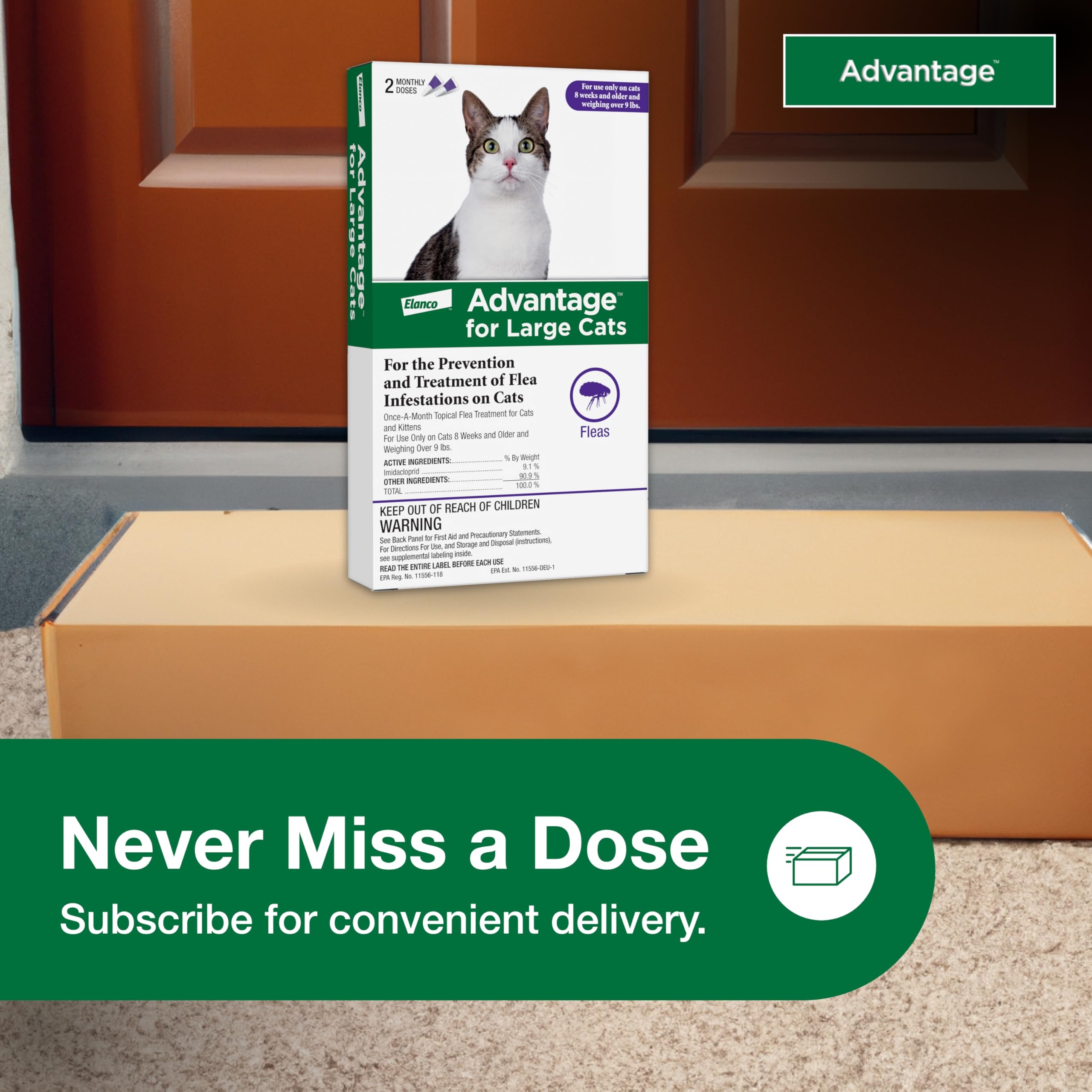 Advantage prescription-free option image promotes affordable at-home flea prevention.
