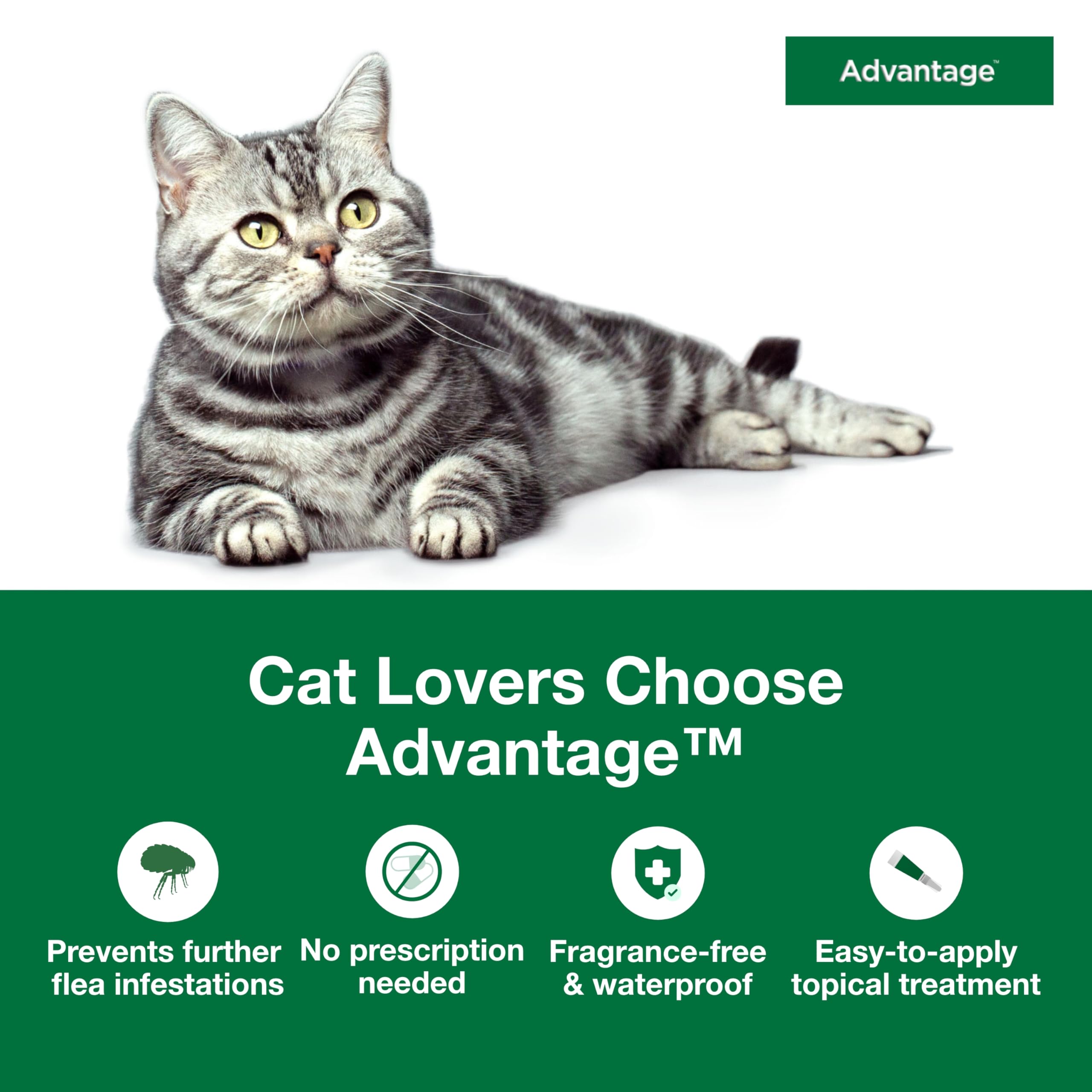 Advantage waterproof drops on cat coat illustrate durable protection after baths.