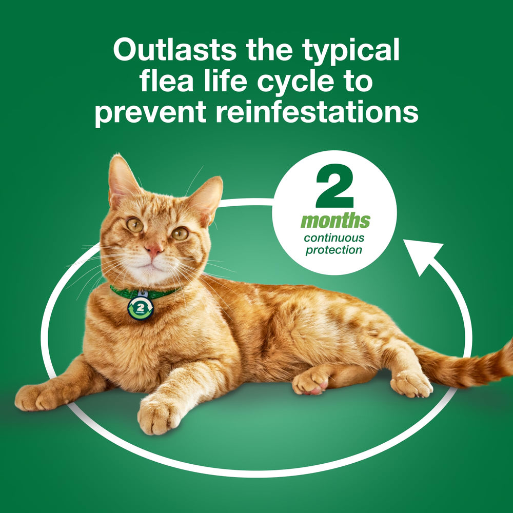 Advantage XD easy-spot-on application on cat neck with simple squeeze.