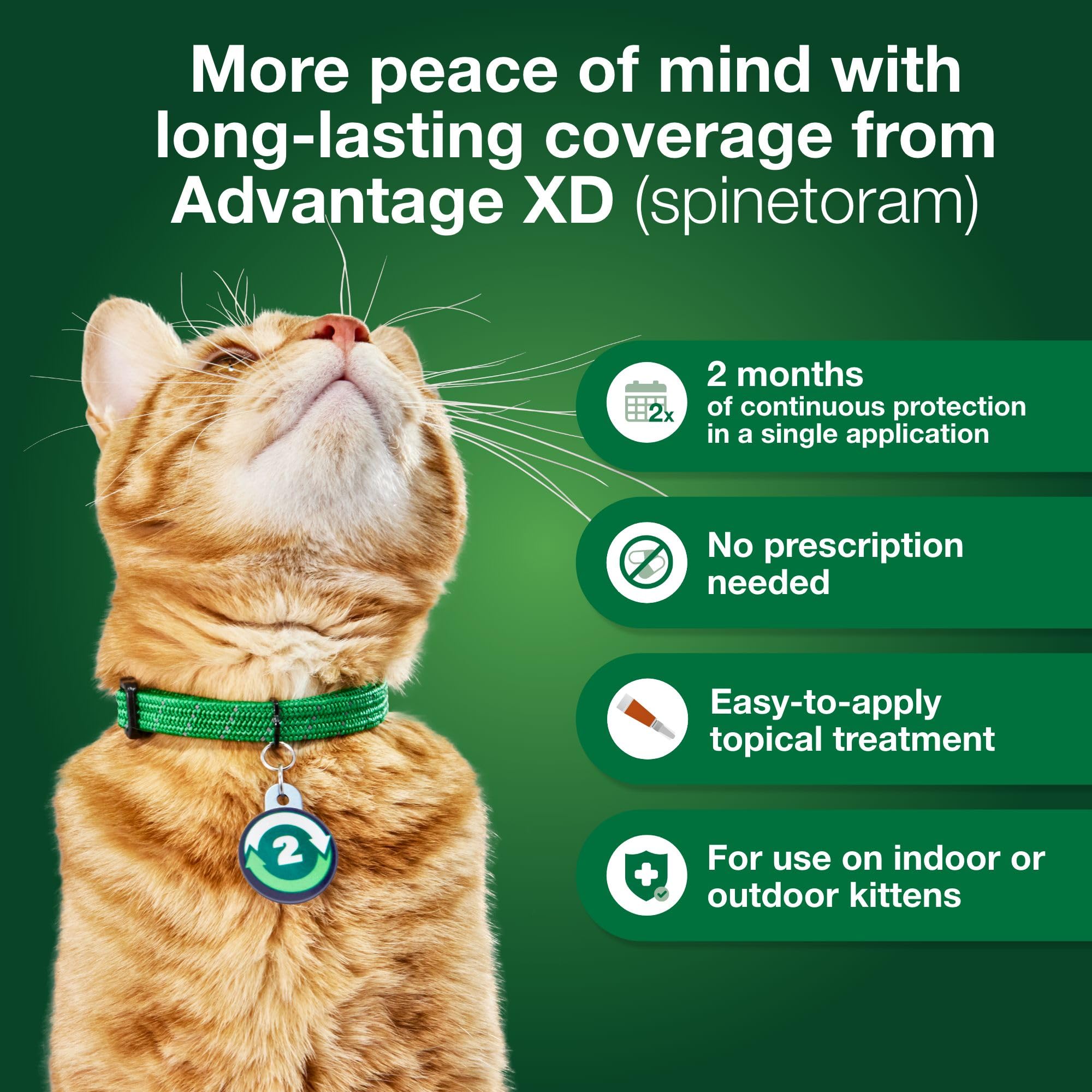 Advantage XD indoor-outdoor cat use on neck area for versatile protection.