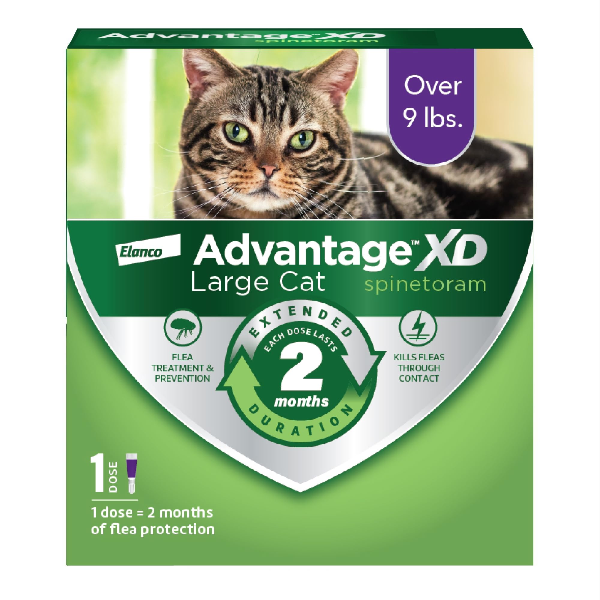 Advantage XD large-cat flea treatment back-of-neck applying spot-on on large cat