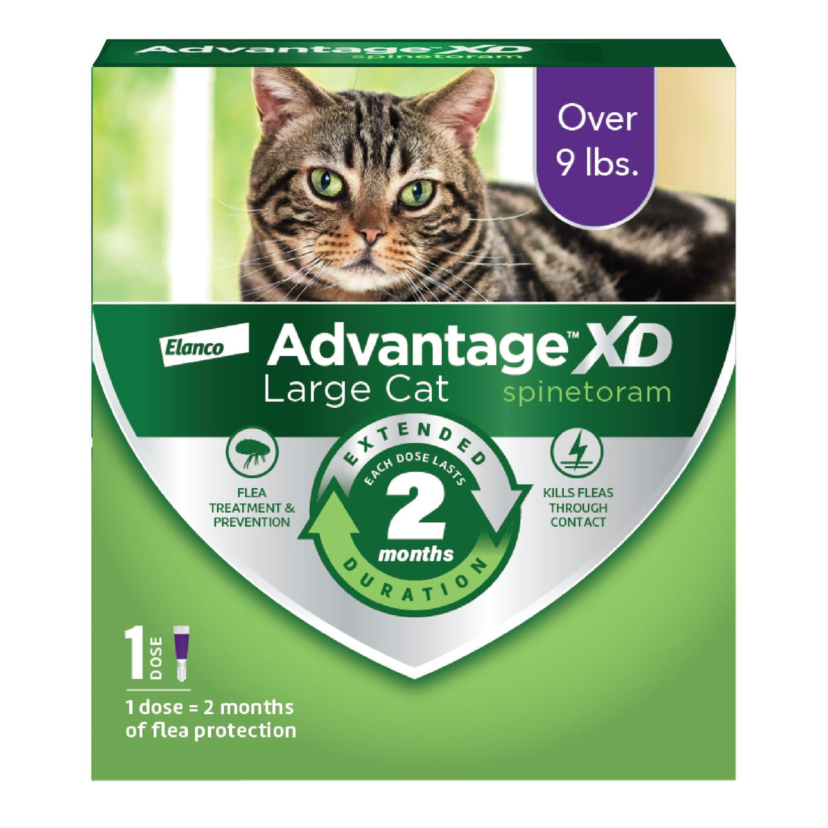 Advantage XD large-cat flea treatment back-of-neck applying spot-on on large cat