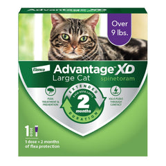 Advantage XD large-cat flea treatment back-of-neck applying spot-on on large cat