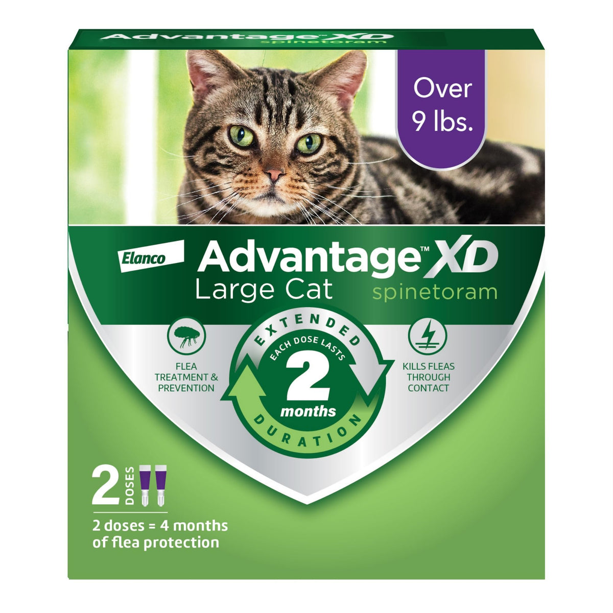 Advantage XD packaging for large-cat flea treatment showing easy at-home use.