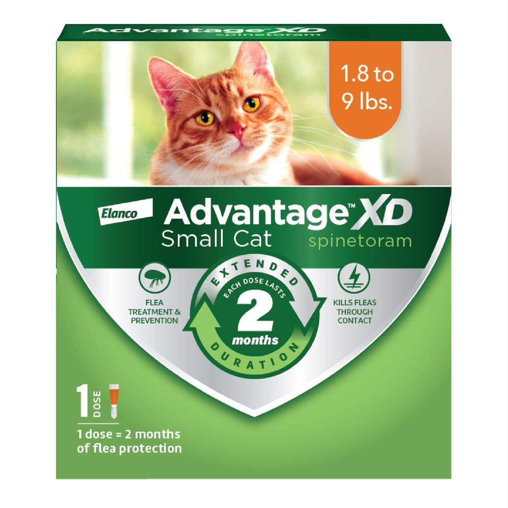 Advantage XD neck-spot-on application on a small cat, easy to use.