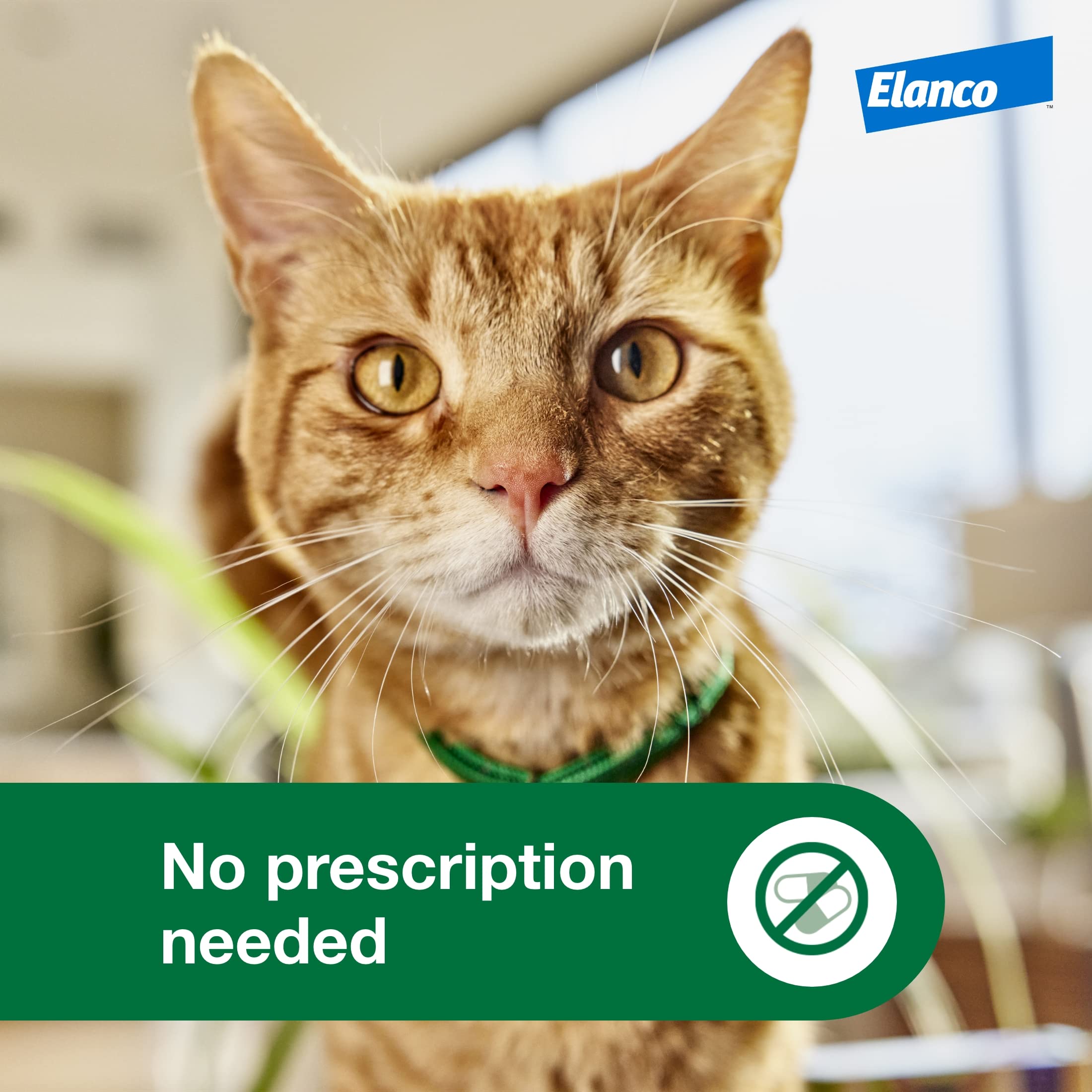 Advantage XD two-month-dose packaging illustrating extended protection per dose.