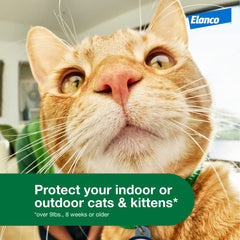 Two-month dose pack from Advantage XD provides extended protection for cats.