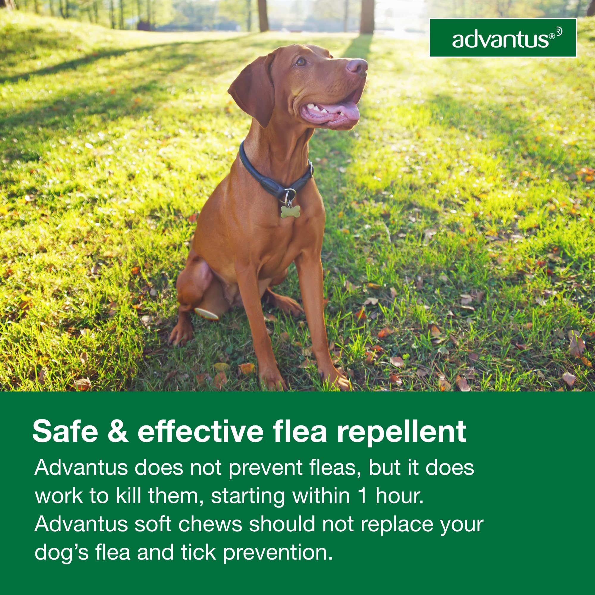 Advantus administer by hand or in-mouth for ease.