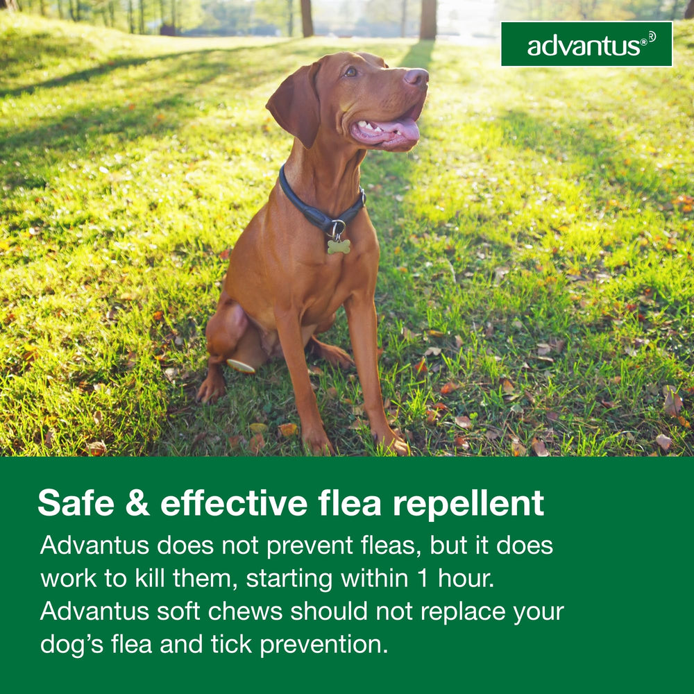 Advantus administer by hand or in-mouth for ease.