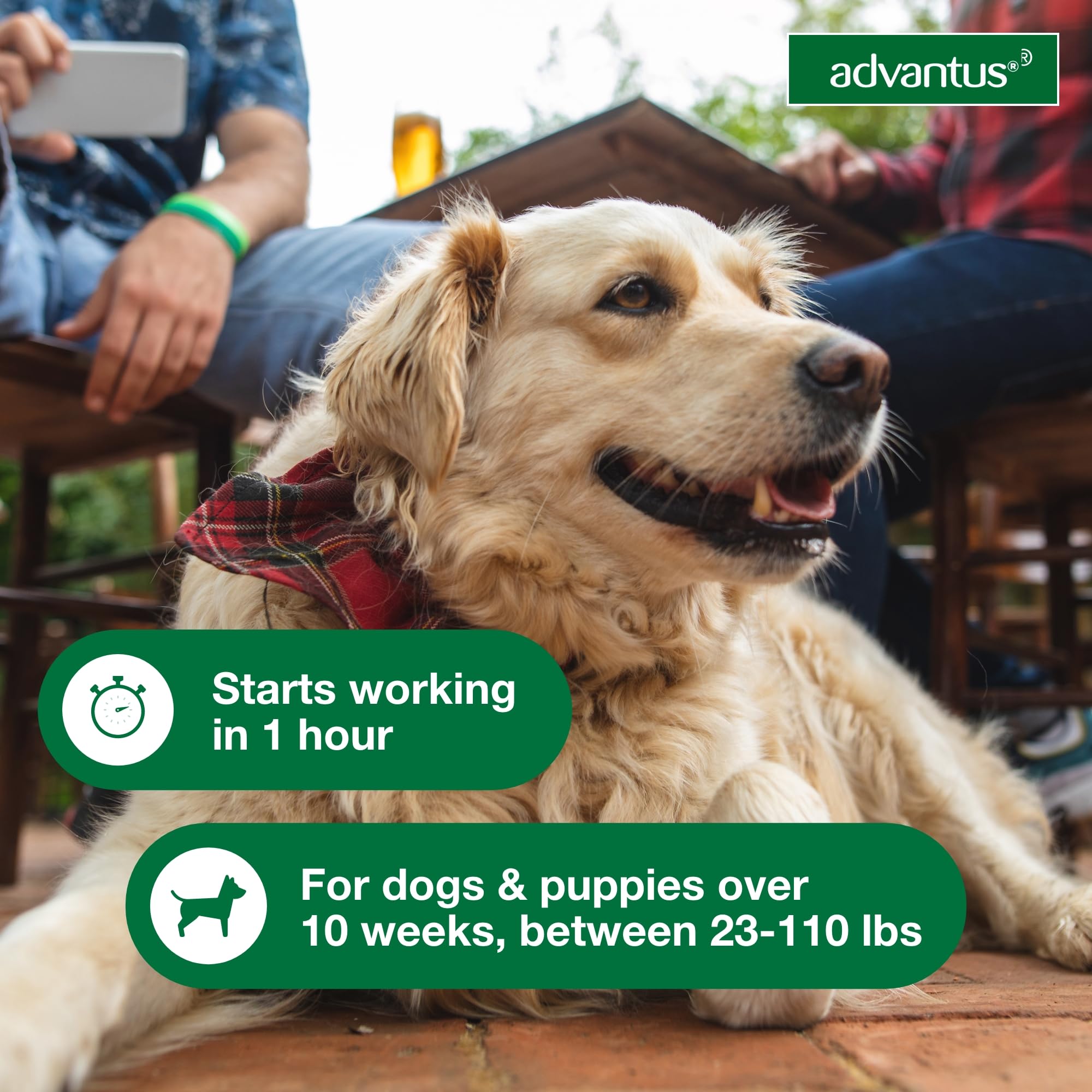 Advantus small-dog 4-22 lbs chews for tiny pets.