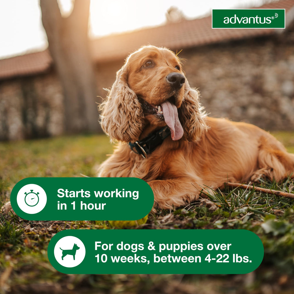 Advantus label shows 4-22 lb range for small-to-medium dogs.