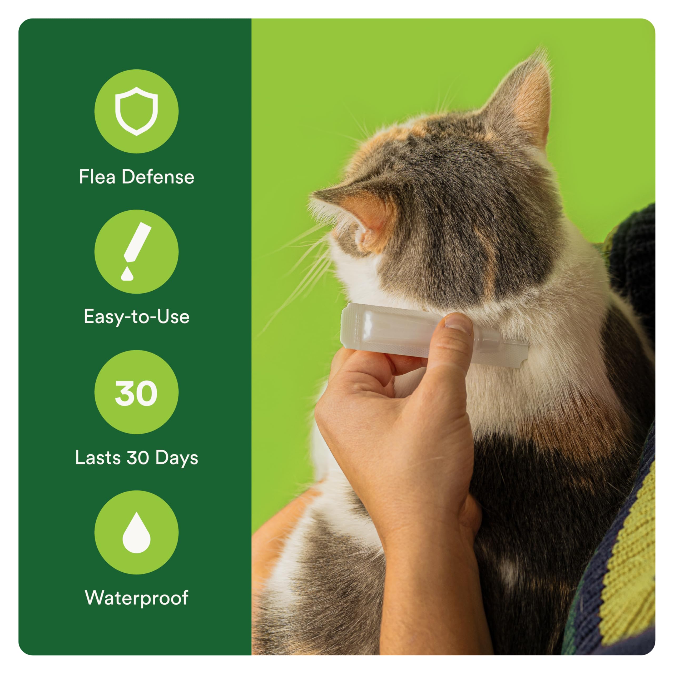 Advecta Plus easy to apply topical treatment for cats