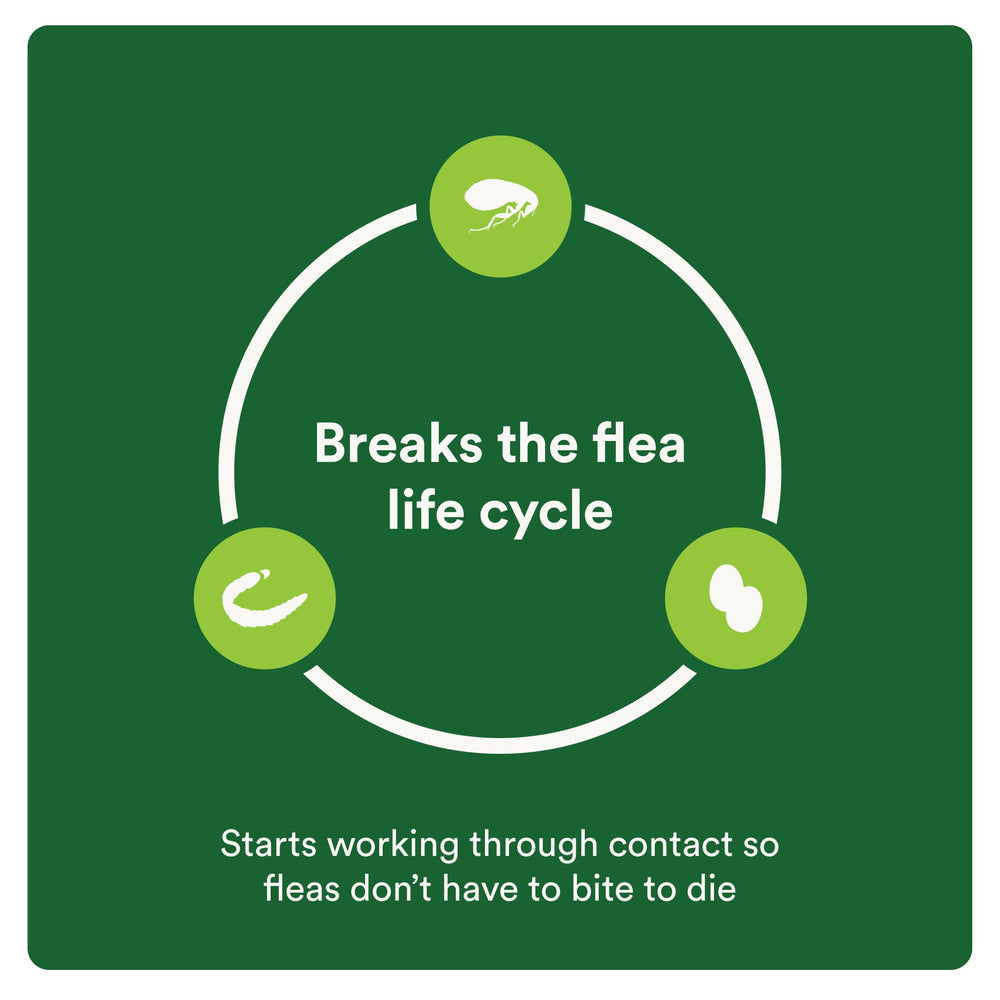 Advecta Plus four month supply packaging for seasonal protection