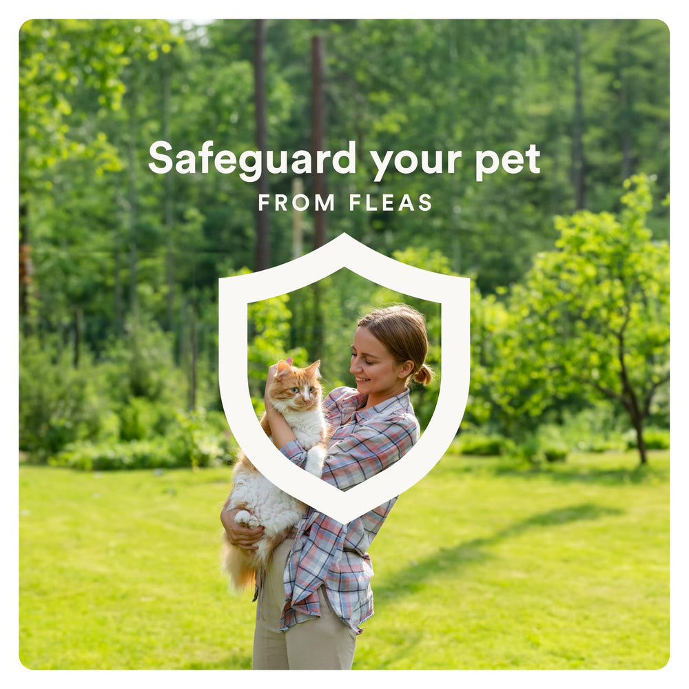 Advecta Plus suitable for kittens eight weeks and older