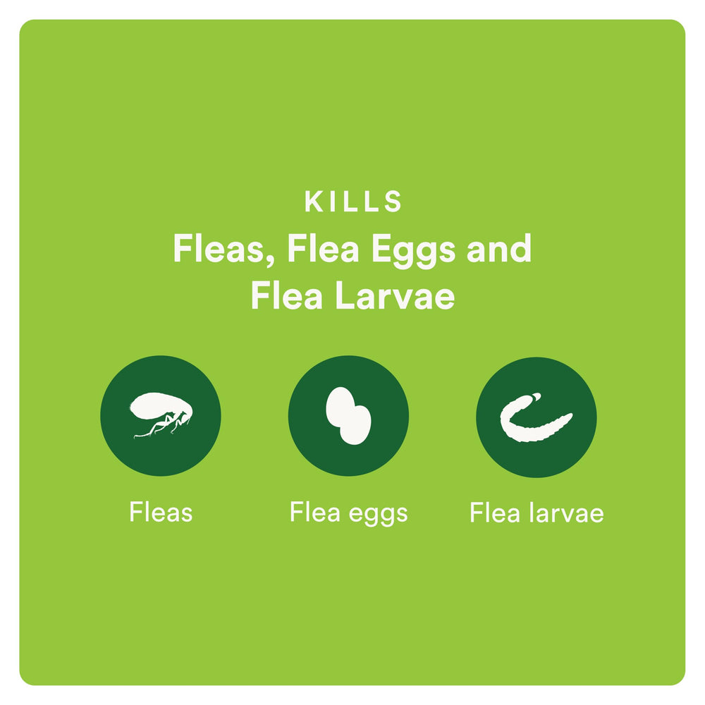Advecta Plus lifecycle control eggs and larvae reduces reinfestation risk
