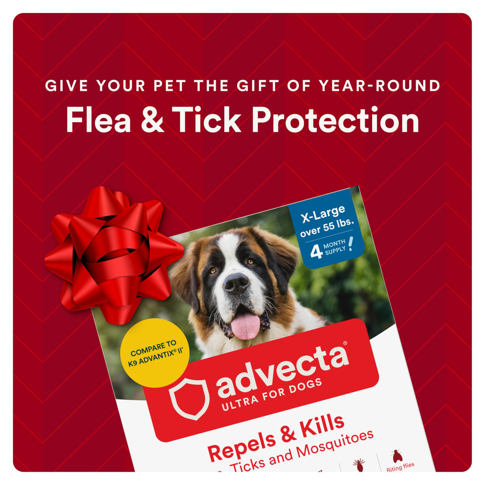 Advecta Ultra topical application on a dog's coat showcases easy, no-bite protection from fleas and ticks.