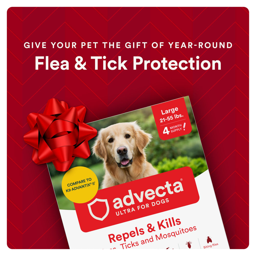 Advecta Ultra waterproof topical for dogs after rain demonstrates lasting protection