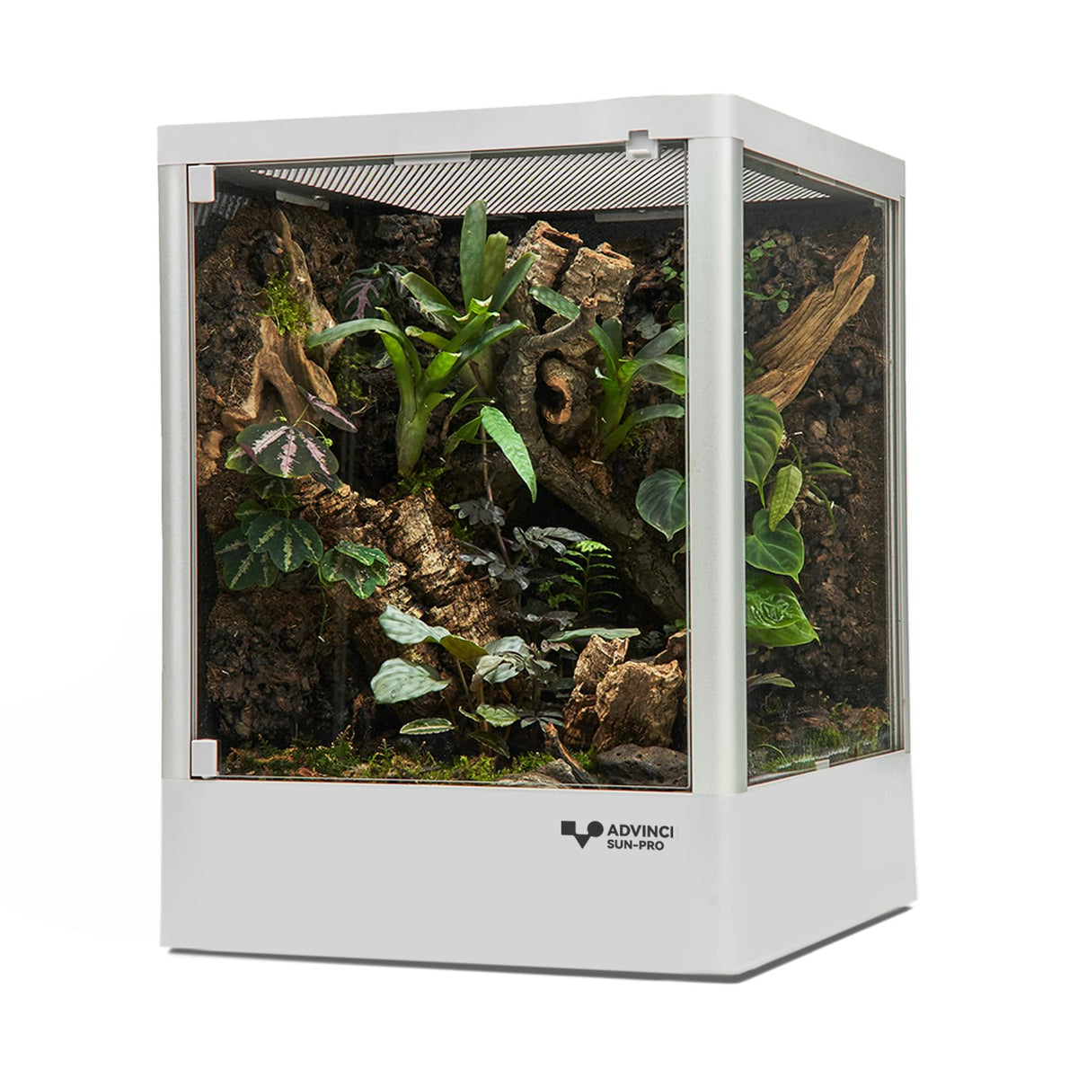 ADVINCI Reptile Glass Terrarium front view showcases clear visibility for observing geckos