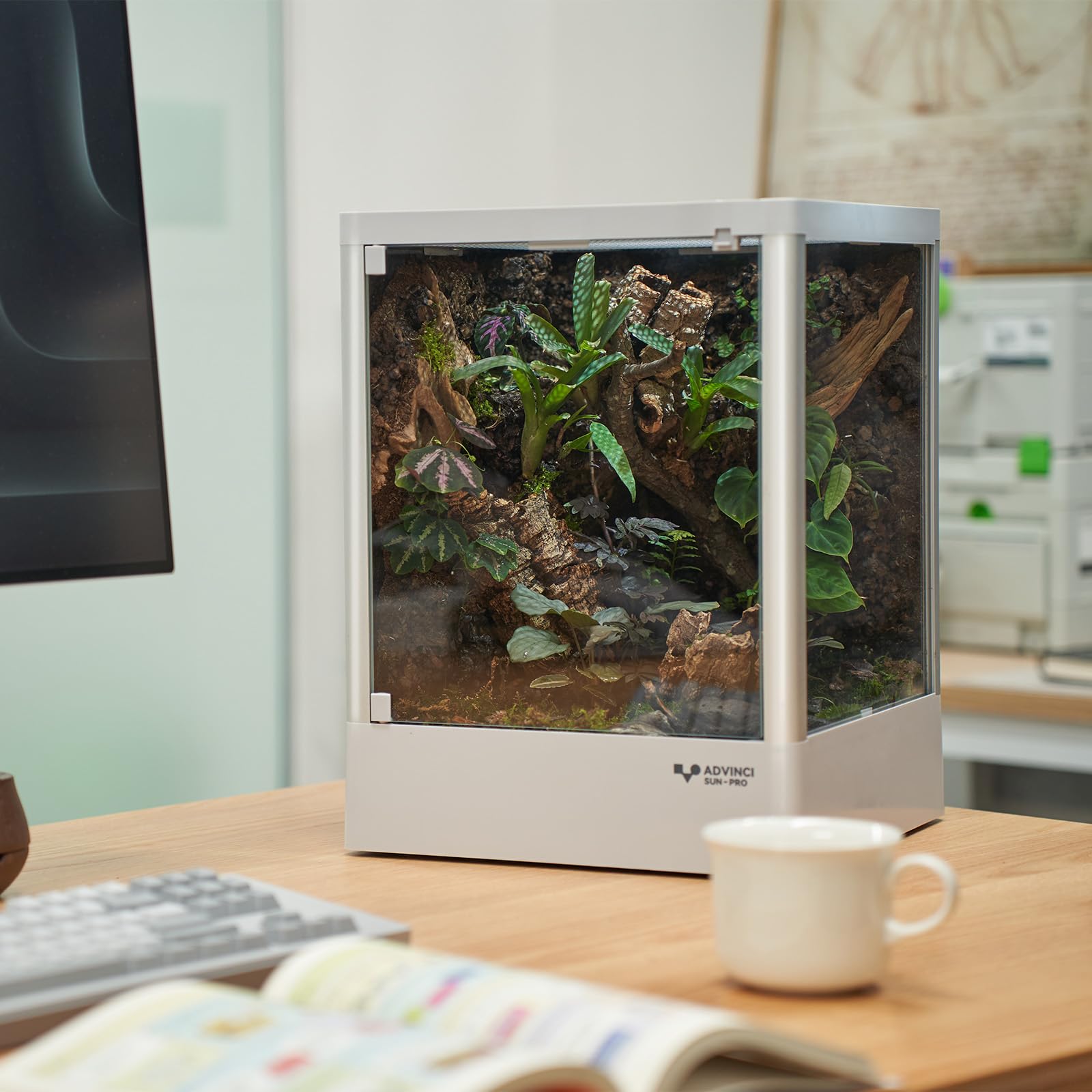 ADVINCI Reptile Glass Terrarium side view highlights space-efficient design for small habitats