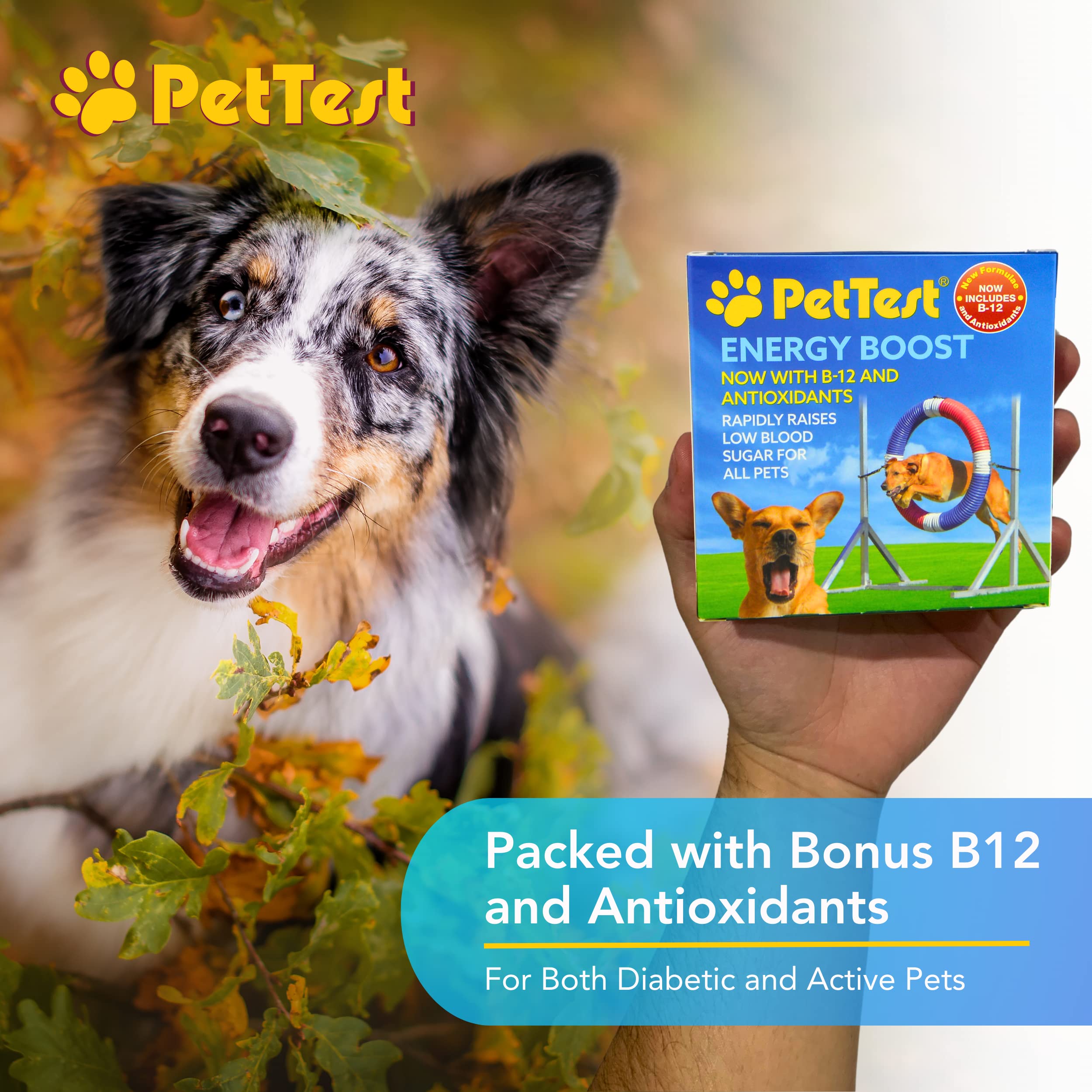 Advocate PetTest Energy Boost being offered to a calm pet during administration.