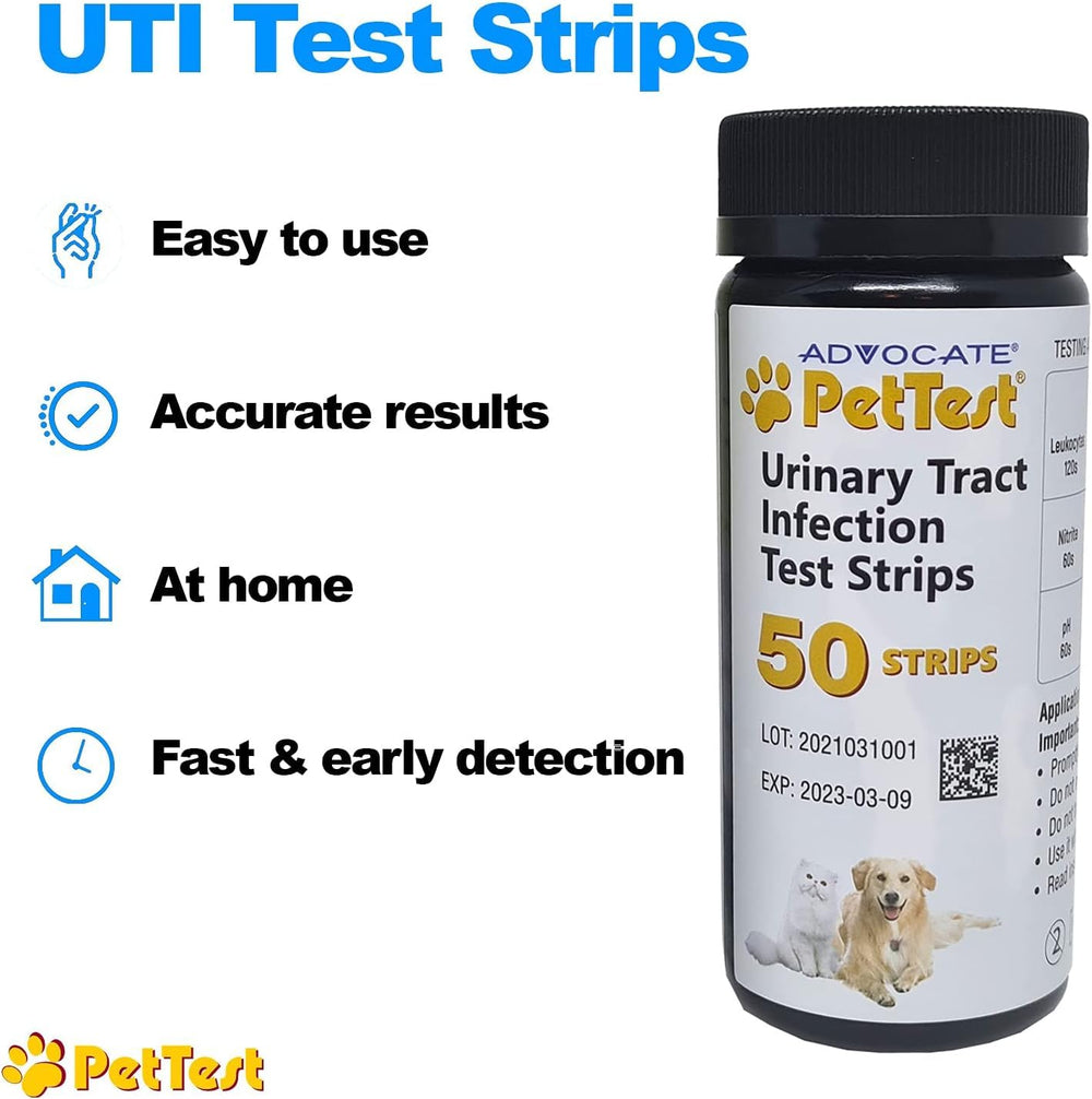 Advocate PetTest UTI strip with urine sample from a dog for quick home screening