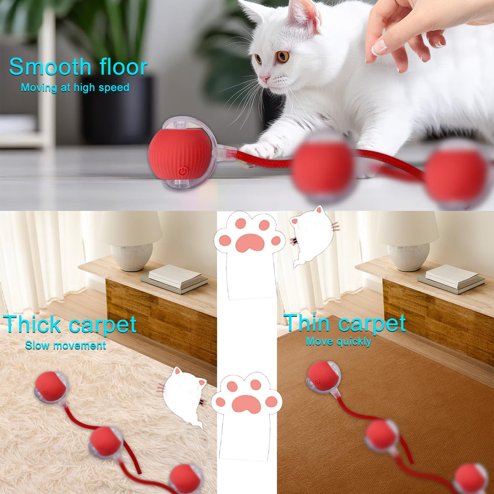 AebDerp Interactive Cat Ball red on-floor use case promotes active pet exercise.