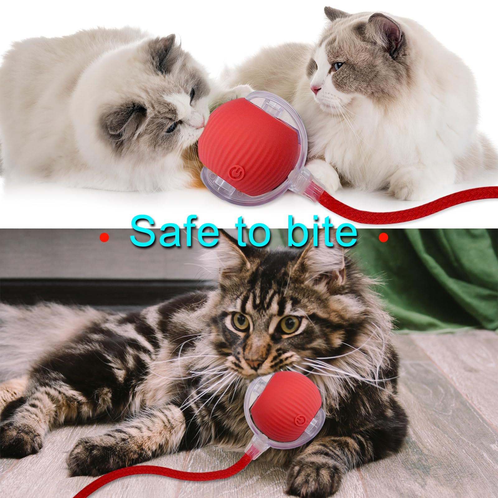 AebDerp Interactive Cat Ball red with-cat play supports slow, gentle exploration.