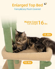 Aechonow cat tree 22-4x15-8 inch perch bed highlights ample lounging space for large cats.