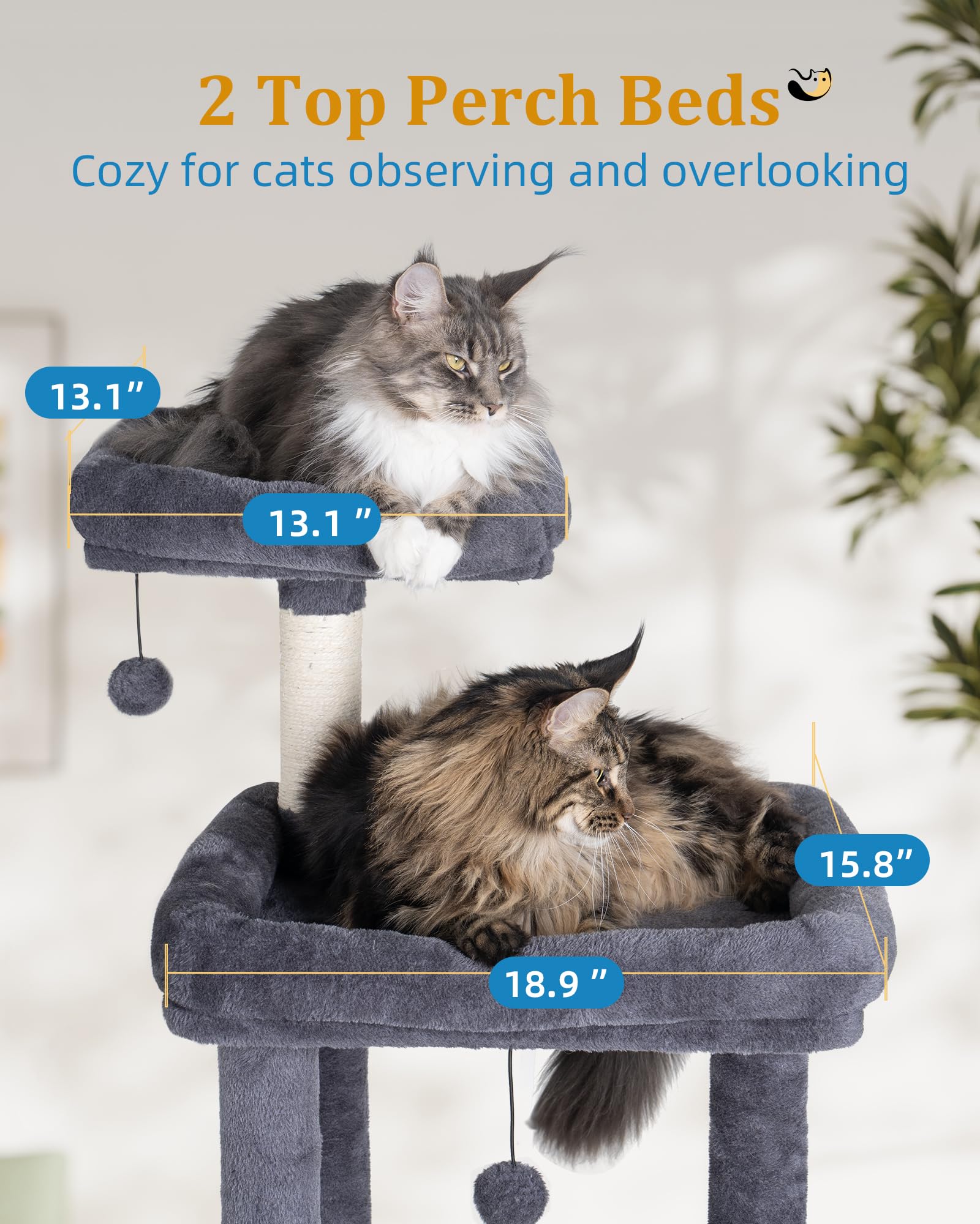 Aechonow bottom condo is ideal for kittens and lounging cats.
