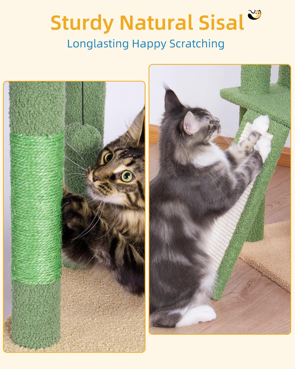 Aechonow cat tree cozy condo provides private nap spaces and privacy.