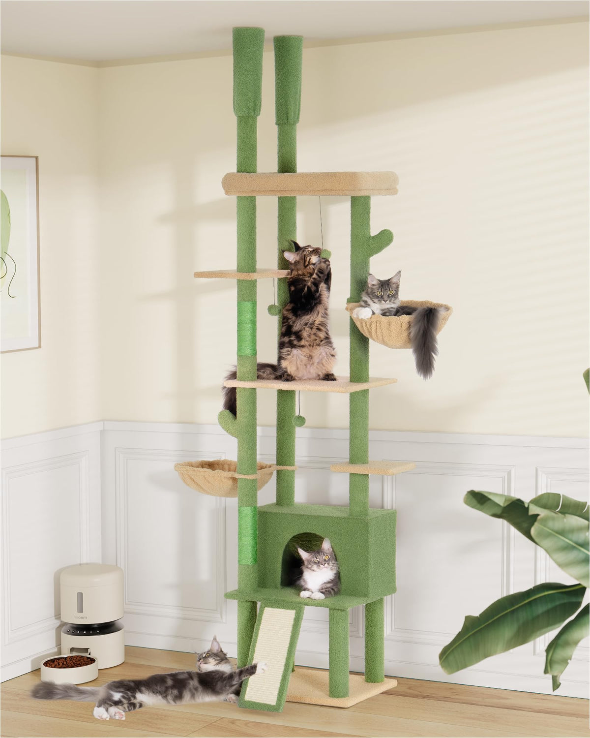 Aechonow cat tree floor-to-ceiling shows space saving vertical enrichment for big cats.