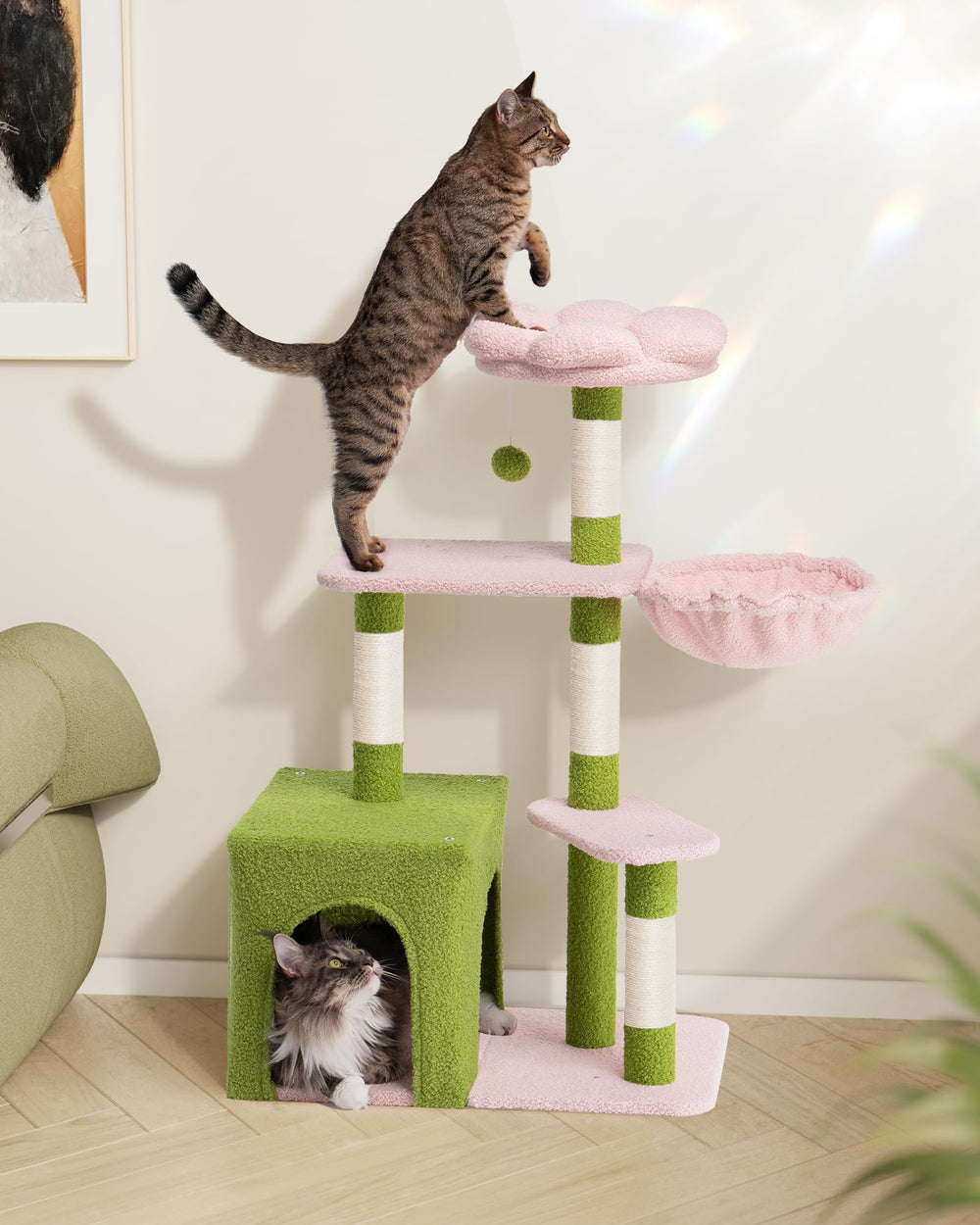 Aechonow kitten nap perch offers warm, elevated view for curious kittens