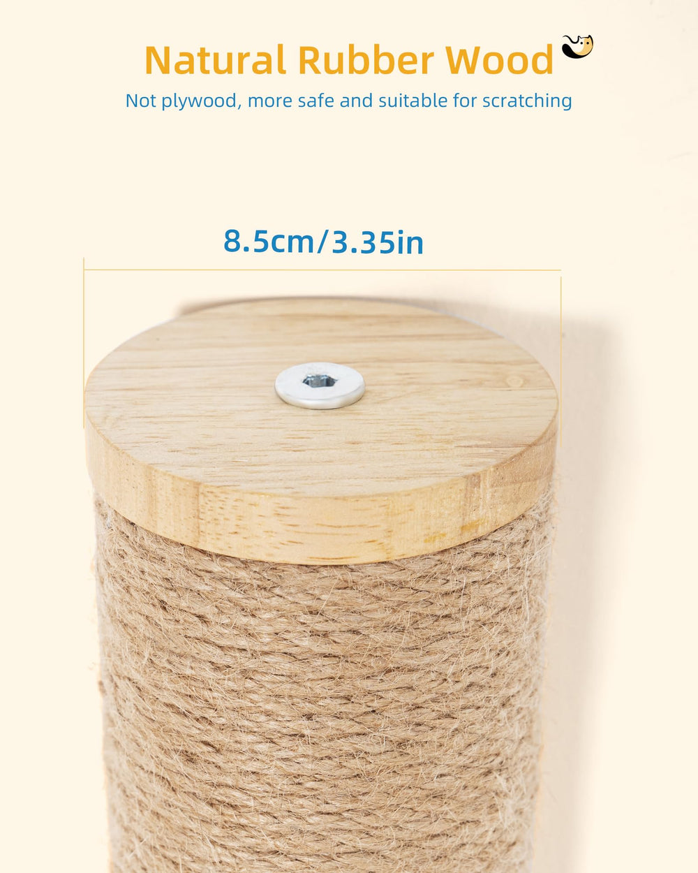 Aechonow vertical or horizontal setup supports versatile play and stretching.
