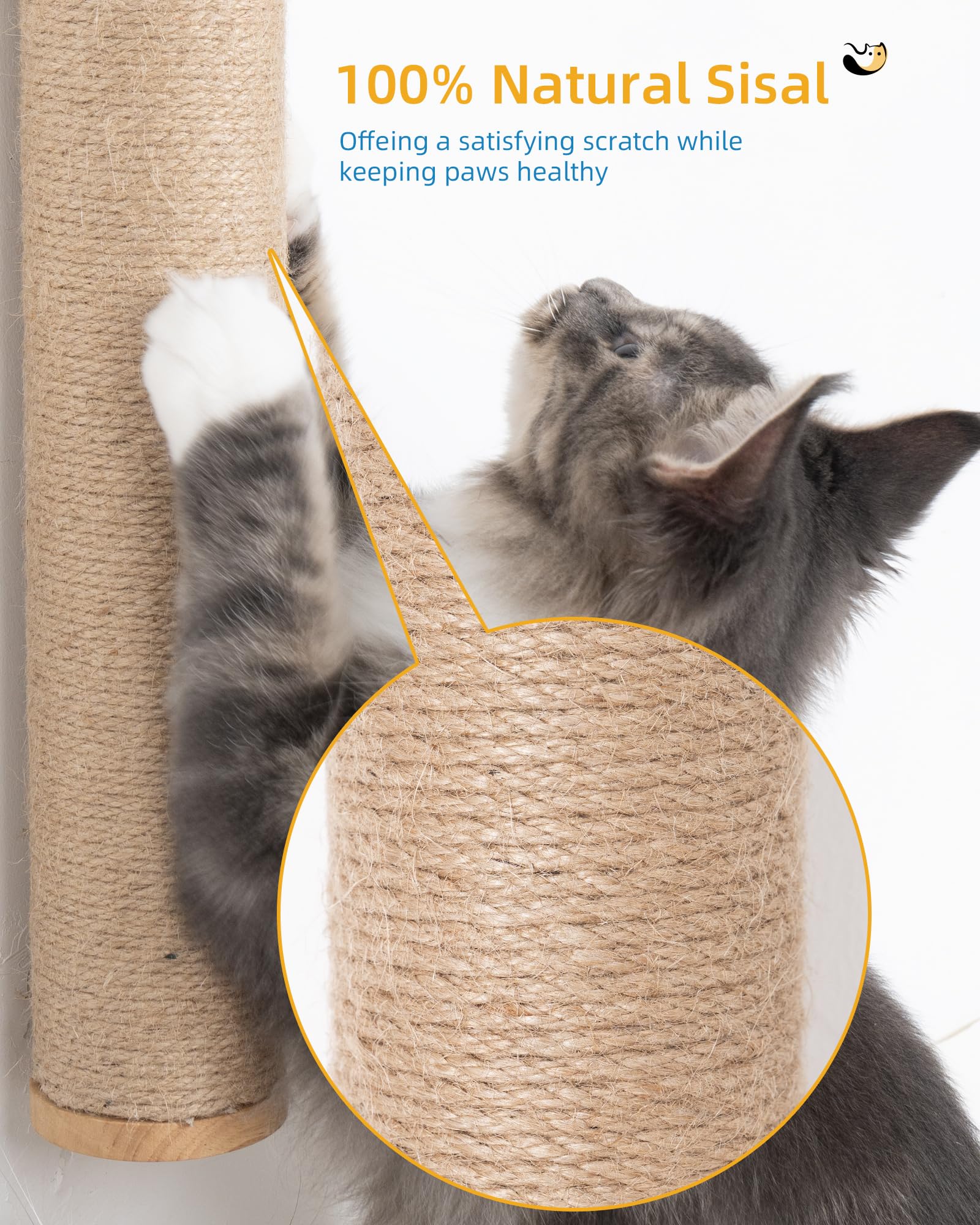 Aechonow wooden ends and center design blends decor with paw protection.