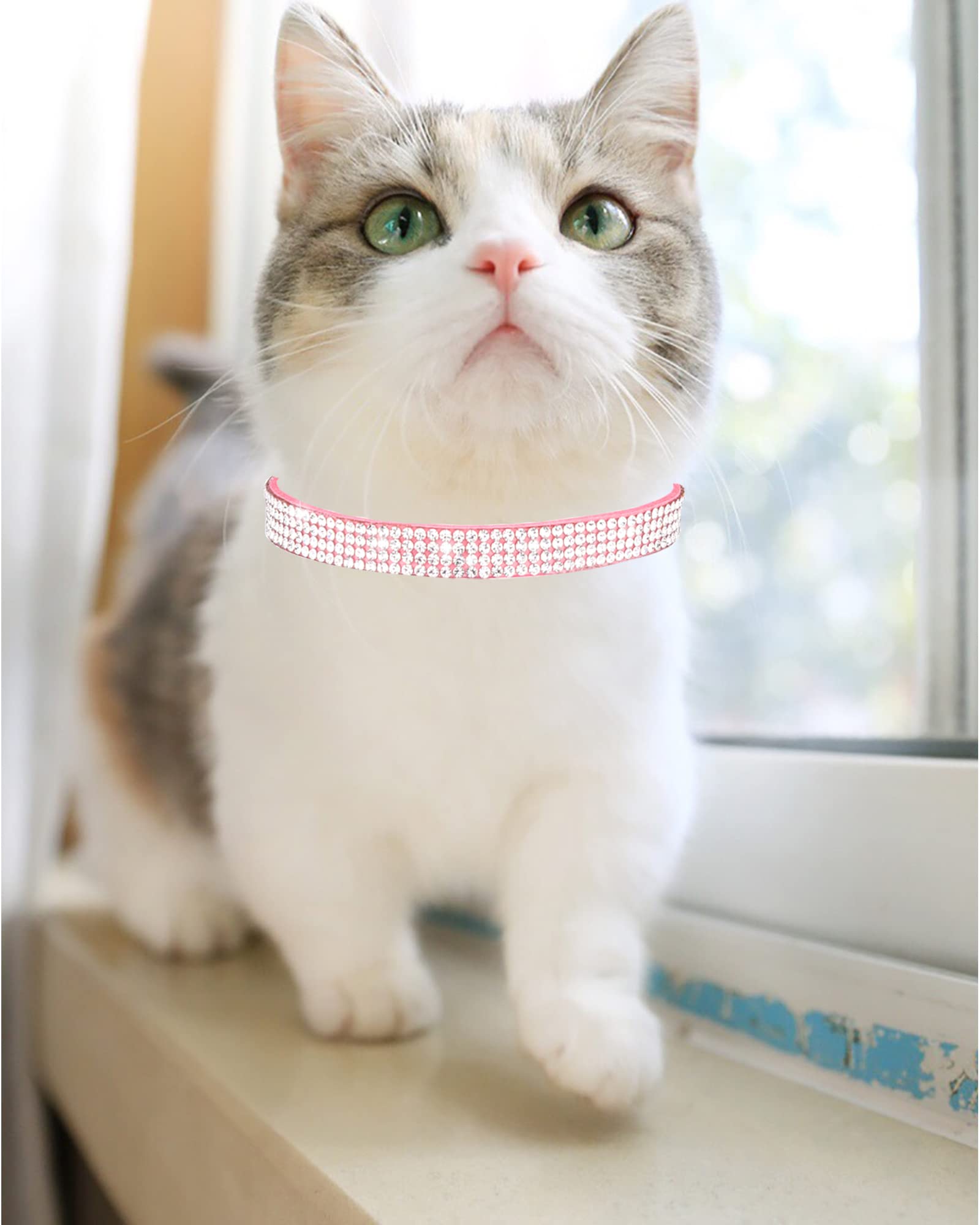 Aecllcea cat collar soft velvet fabric provides comfortable wear without fur snag