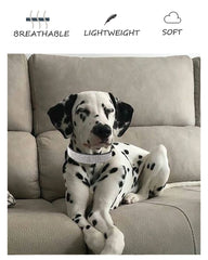 Aecllcea dog-collar-small-red-bling supports durable everyday wear.