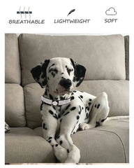 Aecllcea dog collar zinc-alloy-fasteners demonstrate durable hardware
