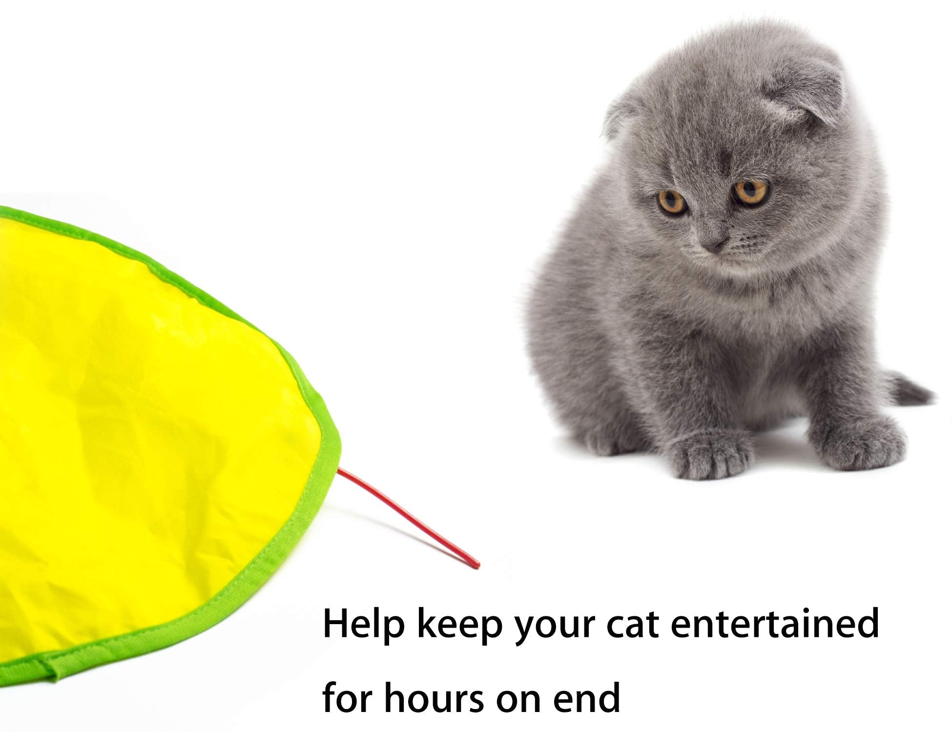 Aelop interchangeable wands ensure continuous fun with Cat's Meow compatibility.