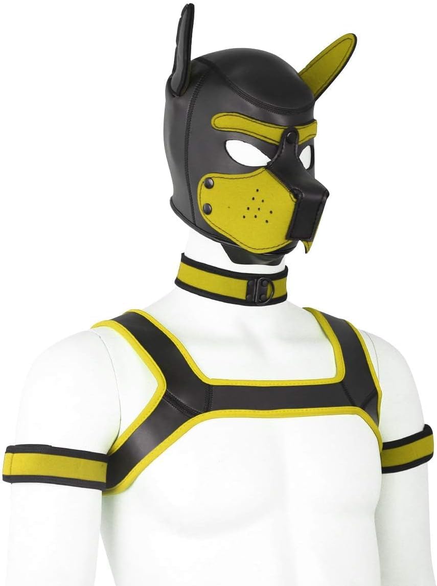 Aendu collar armband harness set completes a cohesive cosplay costume.
