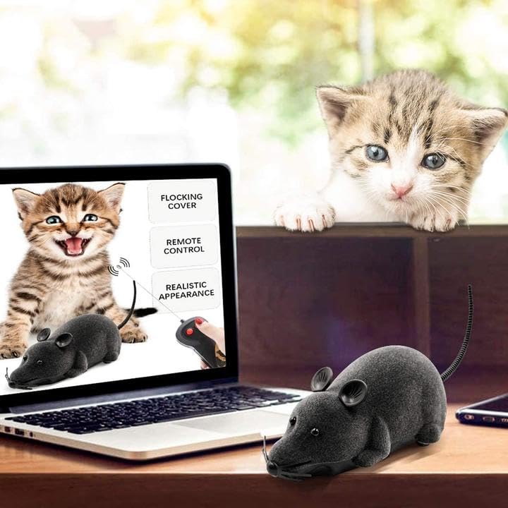 Aerbee cat toy in action promoting engaging, supervised playtime.