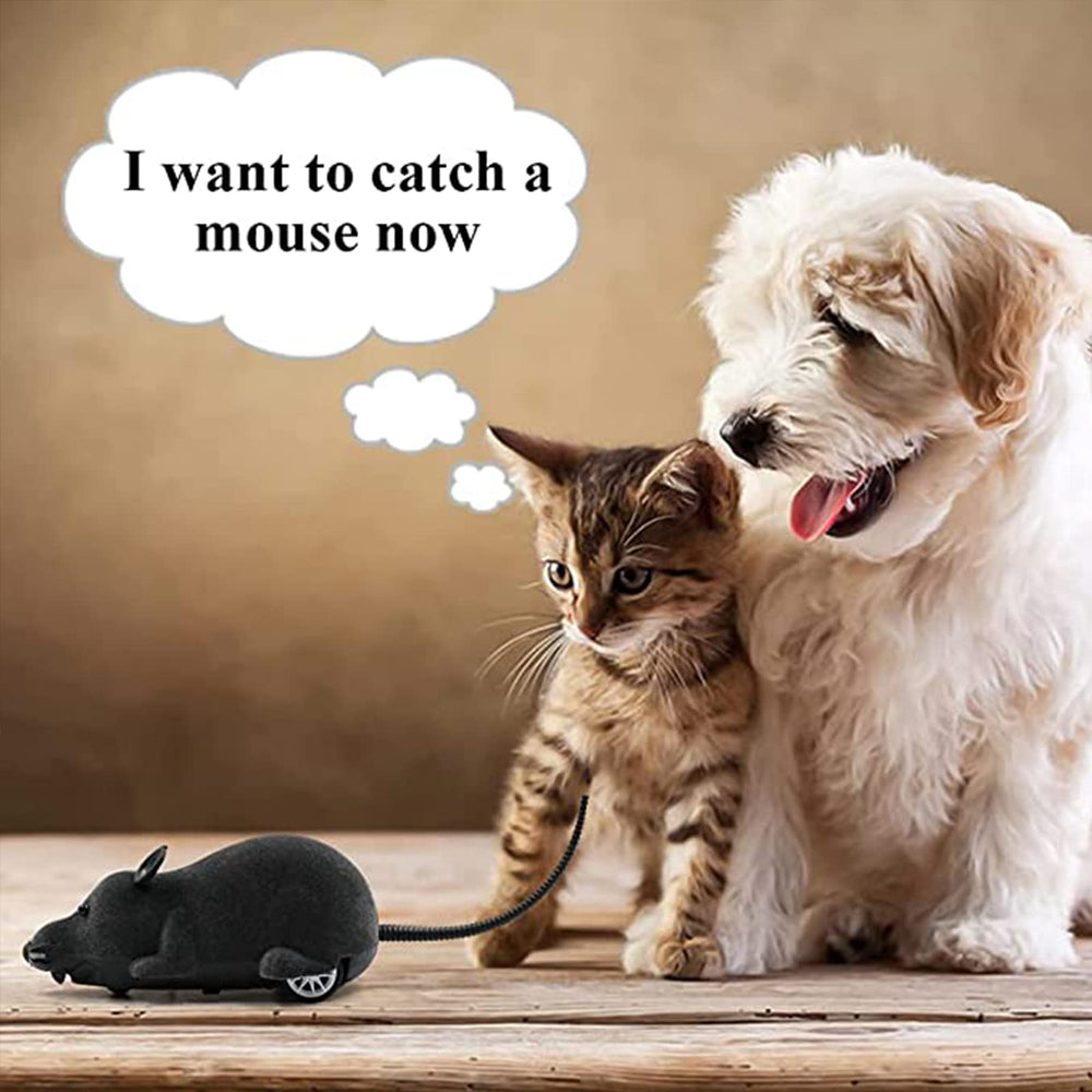 Aerbee giant realistic rat size designed for bigger chase targets.