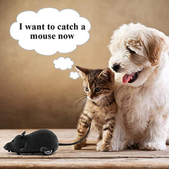 Aerbee giant realistic rat size designed for bigger chase targets.
